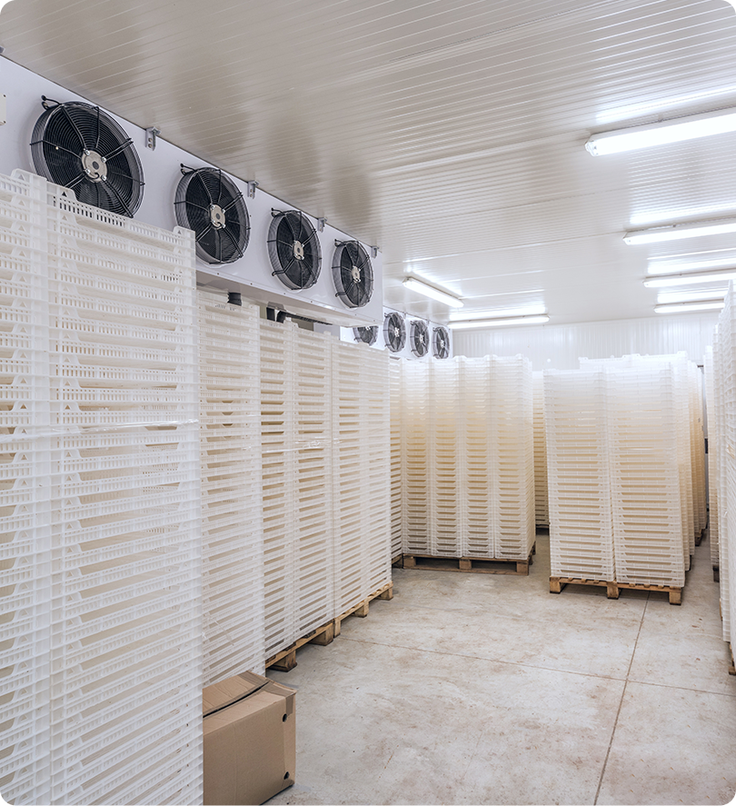 A room filled with lots of fans and boxes.